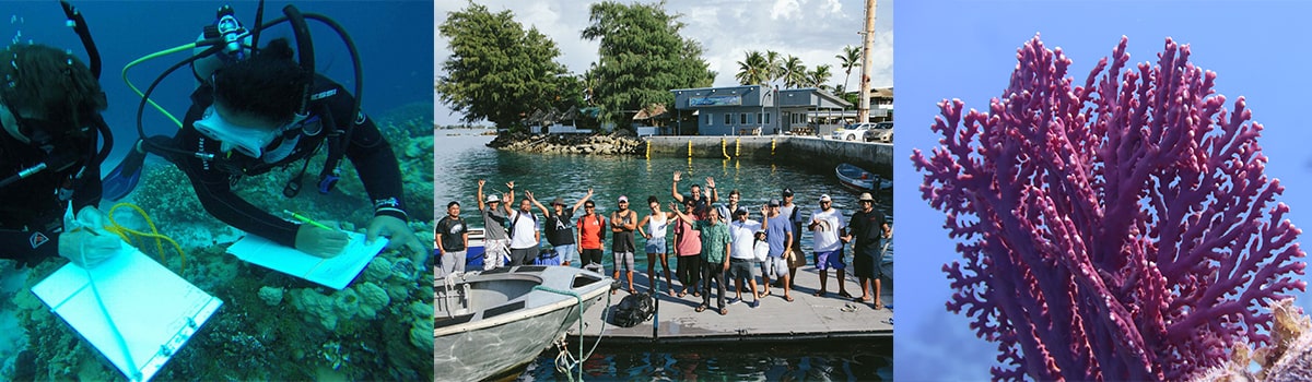 Coastal & Community Affairs